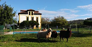 La Casona de Mariñas y La Casa de Oviedo 0018
