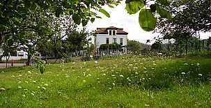 La Casona de Mariñas y La Casa de Oviedo 002