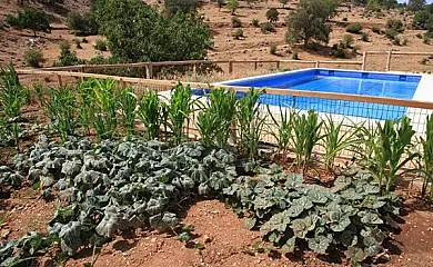 Apartamentos Turísticos Rurales Monte de las Ánimas en Valdepeñas de Jaen (Jaén) - Foto 3