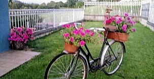 La Casa Azul I y II 006