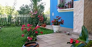 La Casa Azul I y II 0013