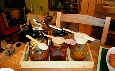 Casa Rural Calle Real en Torremocha de Ayllón (Soria) - Foto 3