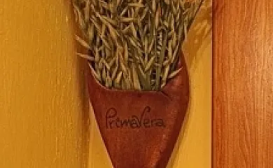 Casa Rural Calle Real en Torremocha de Ayllón (Soria) - Foto 5