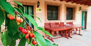 Casas Rurales los Cerezos 0016