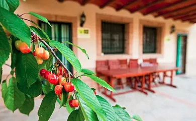 Casas Rurales los Cerezos en Ferez (Albacete) - Foto 16