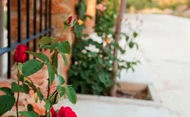 Casas Rurales los Cerezos en Ferez (Albacete) - Foto 17