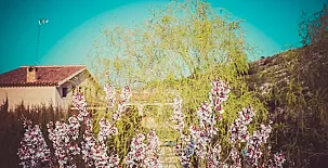 Casas Rurales los Cerezos 0068