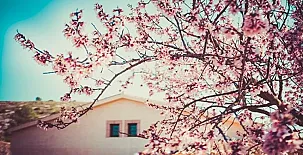 Casas Rurales los Cerezos 0070