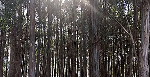 Casa Gazteategi 0025