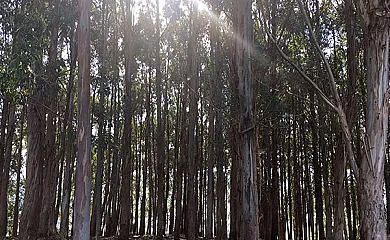 Casa Gazteategi en Zarautz (Guipuzcoa) - Foto 25