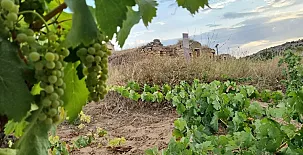 El Refugio de Inés 004