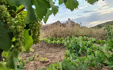 El Refugio de Inés en San Esteban de Gormaz (Soria) - Foto 4