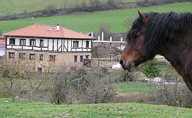 Casa rural Neithea Puelles en Bóveda (Álava) - Foto 3
