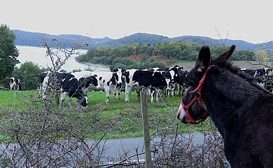 Atxarmin en Elosu (Álava) - Foto 2