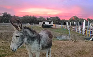 La granja de Vitoria en Hueto Arriba (Álava) - Foto 2