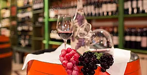 Hotel Villa Elciego 002