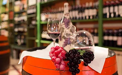 Hotel Villa Elciego en Elciego (Álava) - Foto 2