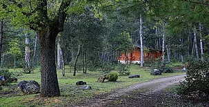 Cabañas  Llano de los Conejos 0064
