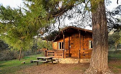Cabañas  Llano de los Conejos en Cañamares (Cuenca) - Foto 3