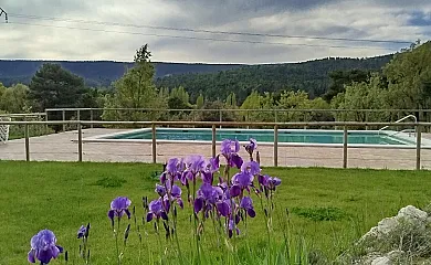 Cabañas  Llano de los Conejos en Cañamares (Cuenca) - Foto 10