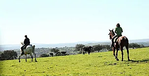 FINCA LOS LLANOS 0023