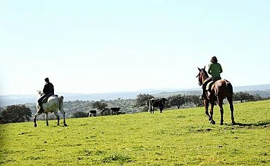 FINCA LOS LLANOS en Atalaya (Badajoz) - Foto 22