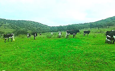 FINCA LOS LLANOS en Atalaya (Badajoz) - Foto 24