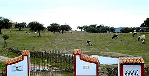 FINCA LOS LLANOS 0033