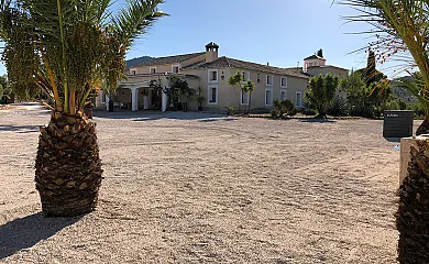 Finca Las Ramblas de Talamansi en Ferez (Albacete) - Foto 3