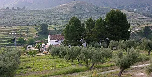 Casas la Zorrera I Y II 005