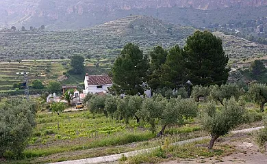Casas la Zorrera I Y II en Ferez (Albacete) - Foto 5
