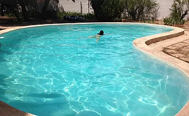 Calixto en Villarrobledo (Albacete) - Foto 1