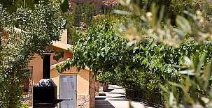 Bahía del Río Segura 003