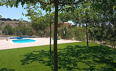 Campolibre en Masegoso (Albacete) - Foto 1