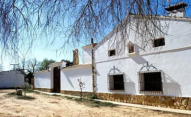 Casa Rural San Antonio 4 vientos en Petrola (Albacete) - Foto 2
