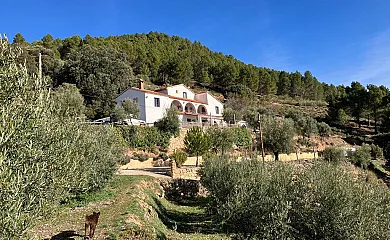 Pilar de la Sima en Arguellite (Albacete) - Foto 2