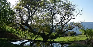 Cortijo Rural Rincón Cabero 003