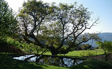 Cortijo Rural Rincón Cabero en Arguellite (Albacete) - Foto 3