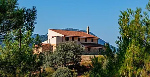 Piedra Del Tesoro 002