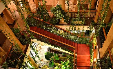 Hospedería Bodas de Camacho en Munera (Albacete) - Foto 3