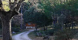 Cabañas  Llano de los Conejos 003