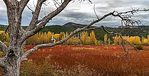 Cabañas  Llano de los Conejos 002