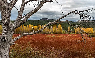 Cabañas  Llano de los Conejos en Cañamares (Cuenca) - Foto 2