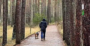 Cabañas  Llano de los Conejos 0024