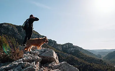 Cabañas  Llano de los Conejos en Cañamares (Cuenca) - Foto 16