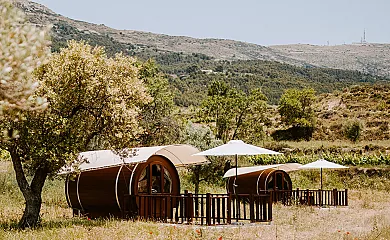 Finca Seguró en Sella (Alicante) - Foto 4