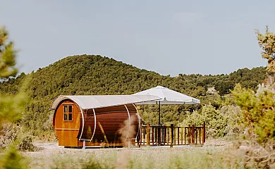 Finca Seguró en Sella (Alicante) - Foto 5