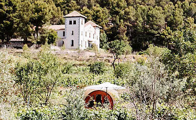 Finca Seguró en Sella (Alicante) - Foto 2