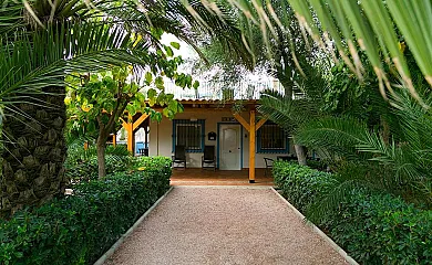 La Cambreta en Crevillent (Alicante) - Foto 1