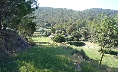 Casa Rural Masia Barberá en Ibi (Alicante) - Foto 5